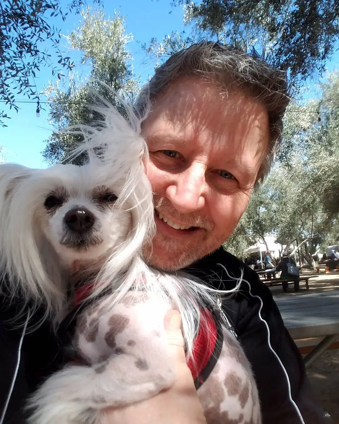 Chinese Crested Puppies